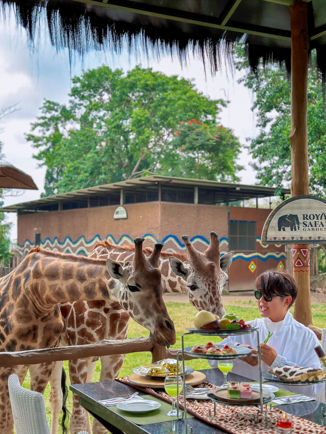 Jakarta-Dine With Giraffe in Jakarta, Indonesia, 👏🏻share a dreamy afternoon tea with giraffes