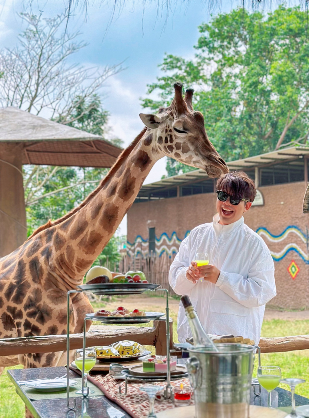 Jakarta-Dine With Giraffe in Jakarta, Indonesia, 👏🏻share a dreamy afternoon tea with giraffes