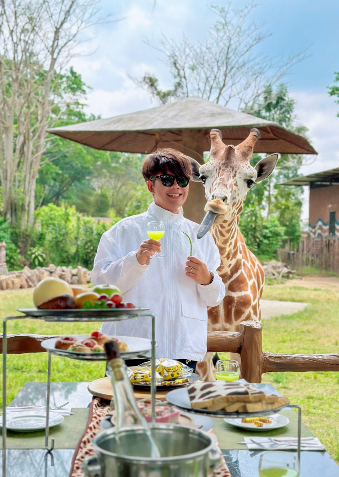 Jakarta-Dine With Giraffe in Jakarta, Indonesia, 👏🏻share a dreamy afternoon tea with giraffes