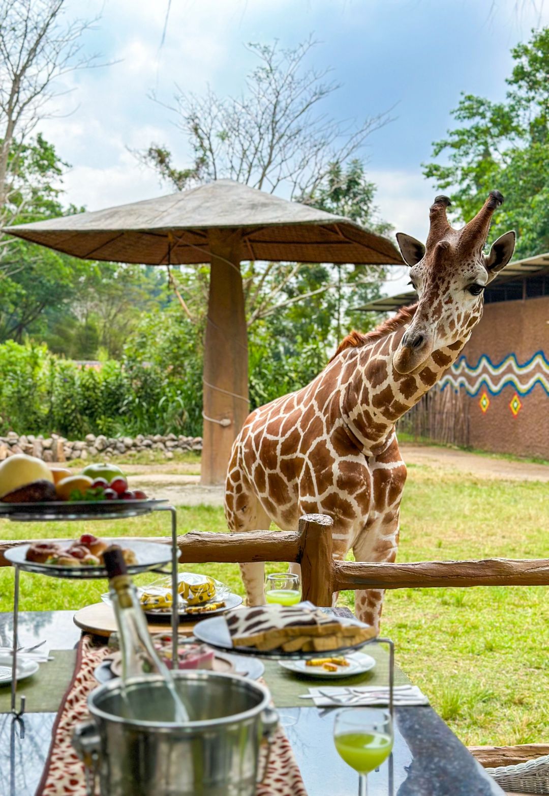 Jakarta-Dine With Giraffe in Jakarta, Indonesia, 👏🏻share a dreamy afternoon tea with giraffes