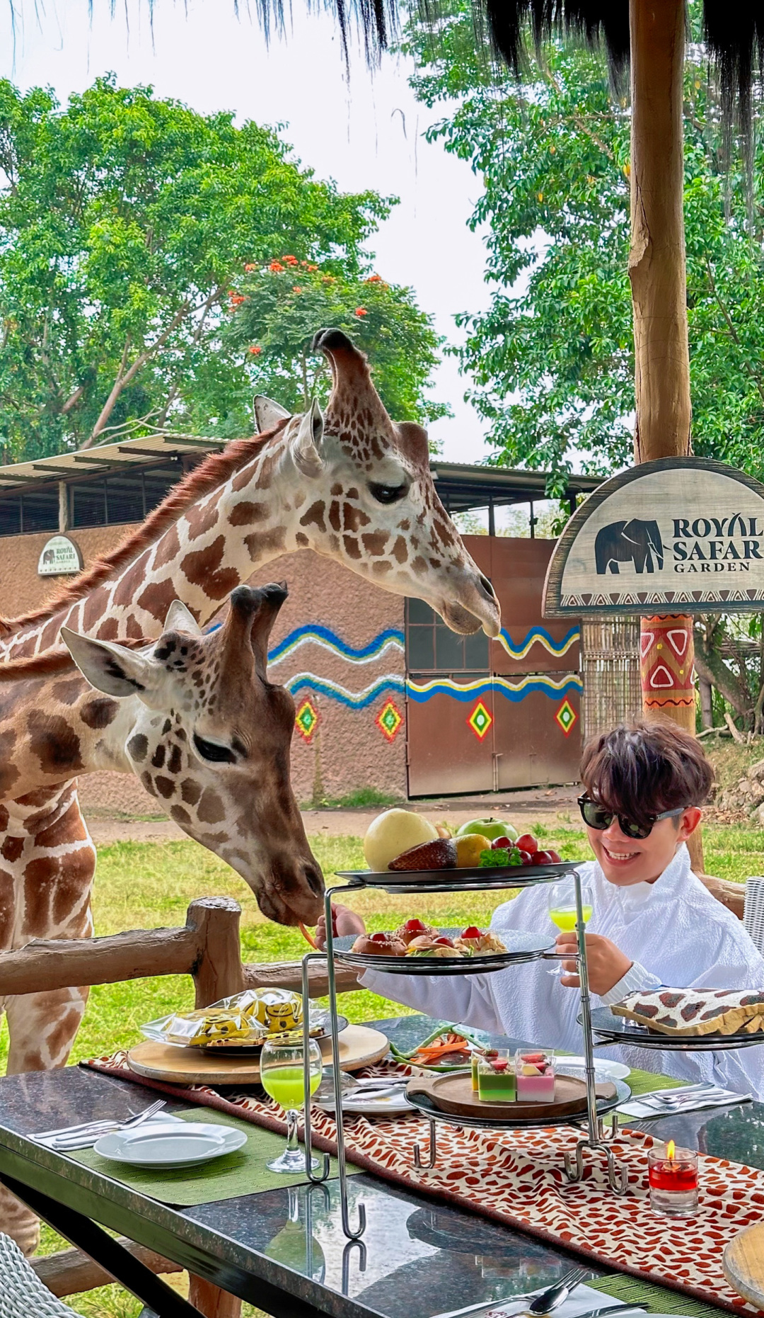 Jakarta-Dine With Giraffe in Jakarta, Indonesia, 👏🏻share a dreamy afternoon tea with giraffes