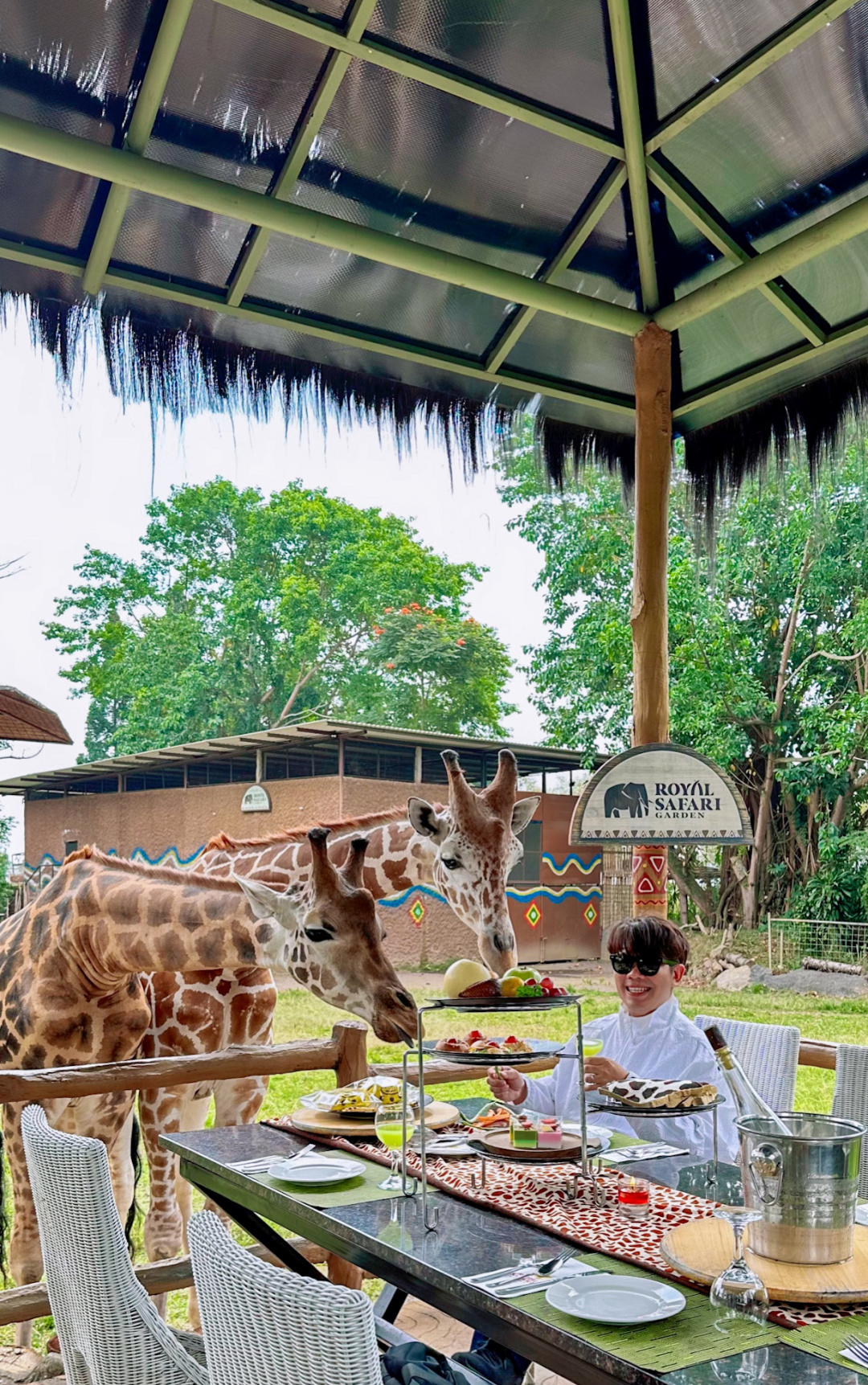 Jakarta-Dine With Giraffe in Jakarta, Indonesia, 👏🏻share a dreamy afternoon tea with giraffes