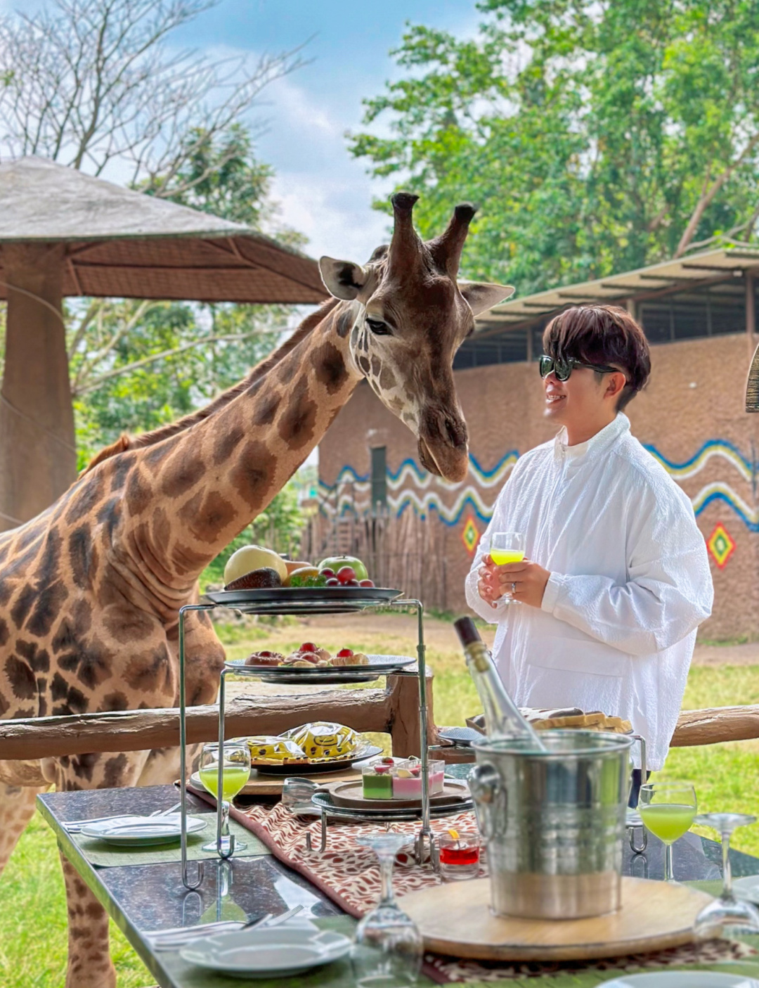 Jakarta-Dine With Giraffe in Jakarta, Indonesia, 👏🏻share a dreamy afternoon tea with giraffes