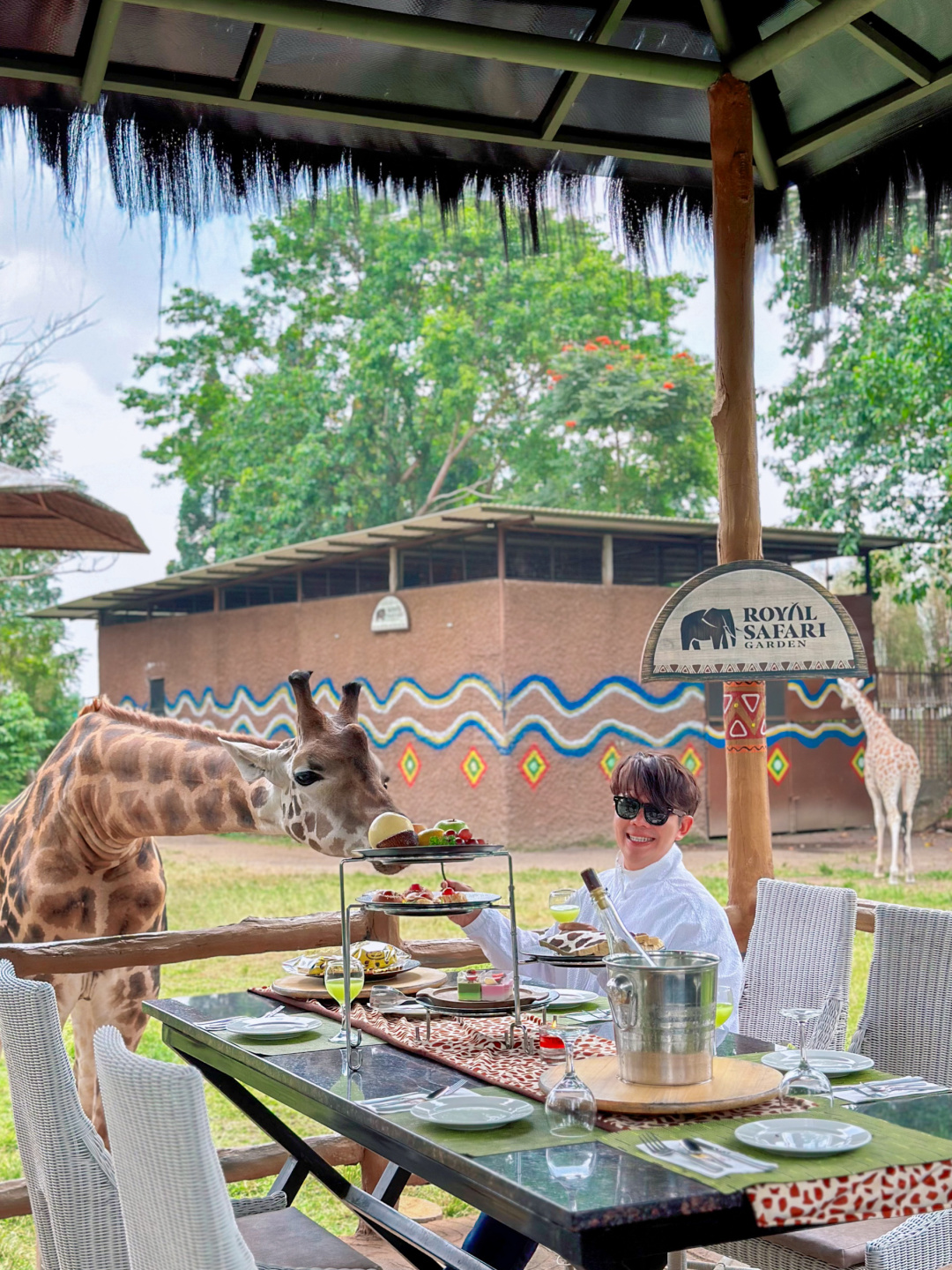 Jakarta-Dine With Giraffe in Jakarta, Indonesia, 👏🏻share a dreamy afternoon tea with giraffes