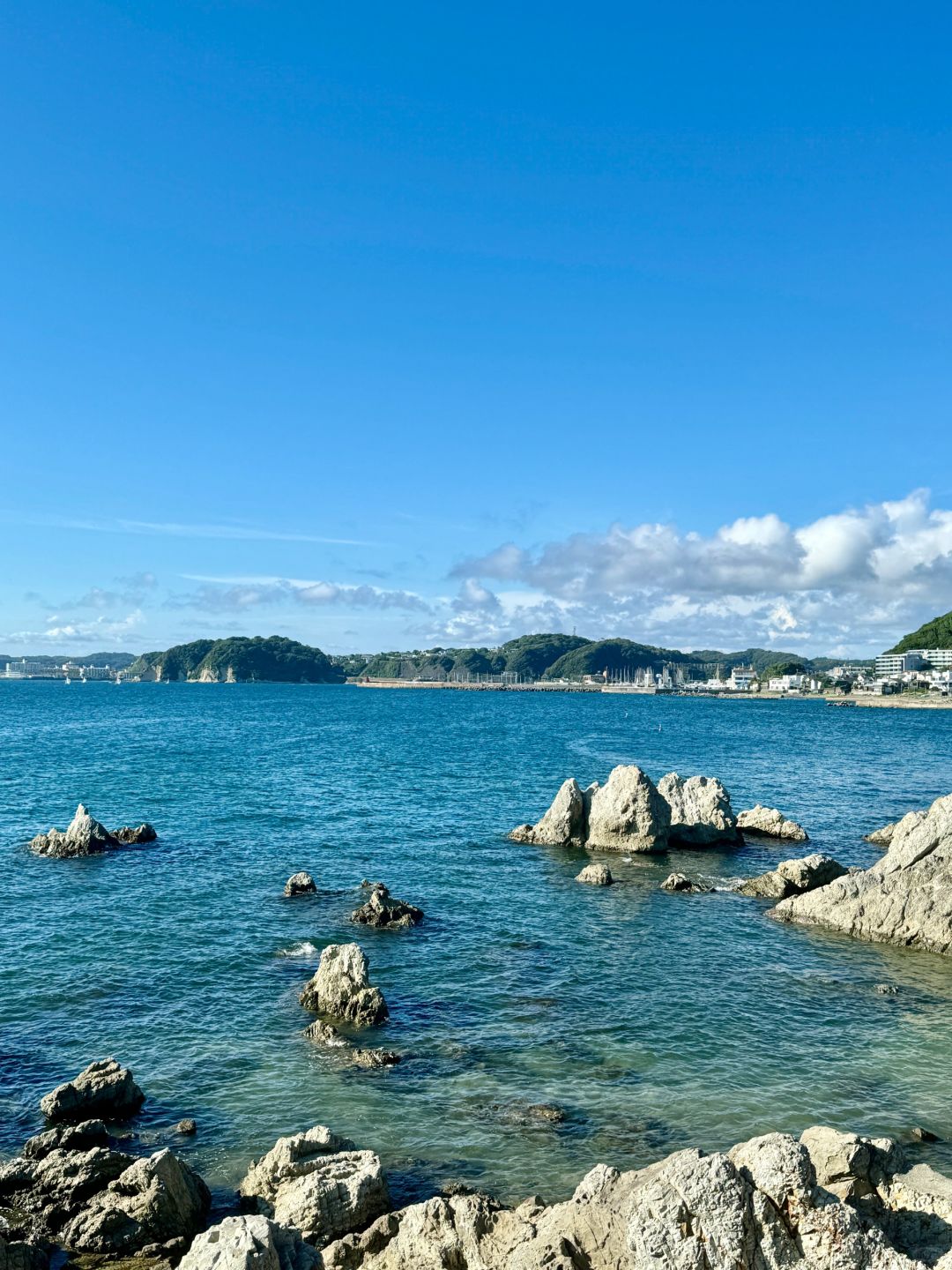 Tokyo-Zushi Beach on Miura Peninsula in Tokyo, clear sea, beautiful coconut trees and sunset