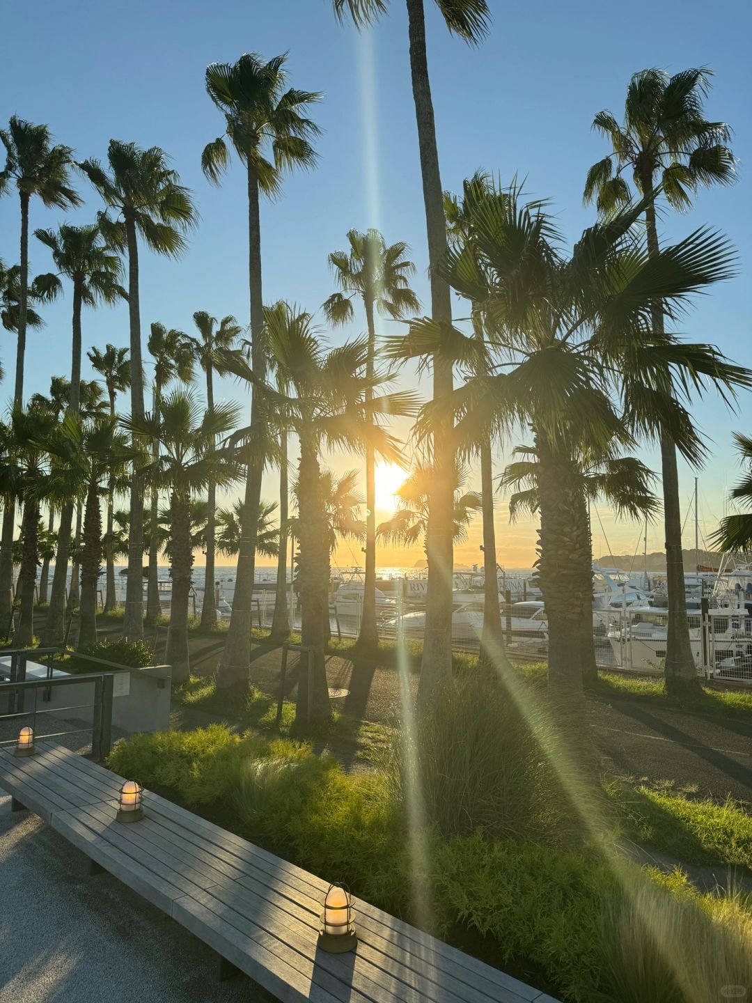 Tokyo-Zushi Beach on Miura Peninsula in Tokyo, clear sea, beautiful coconut trees and sunset