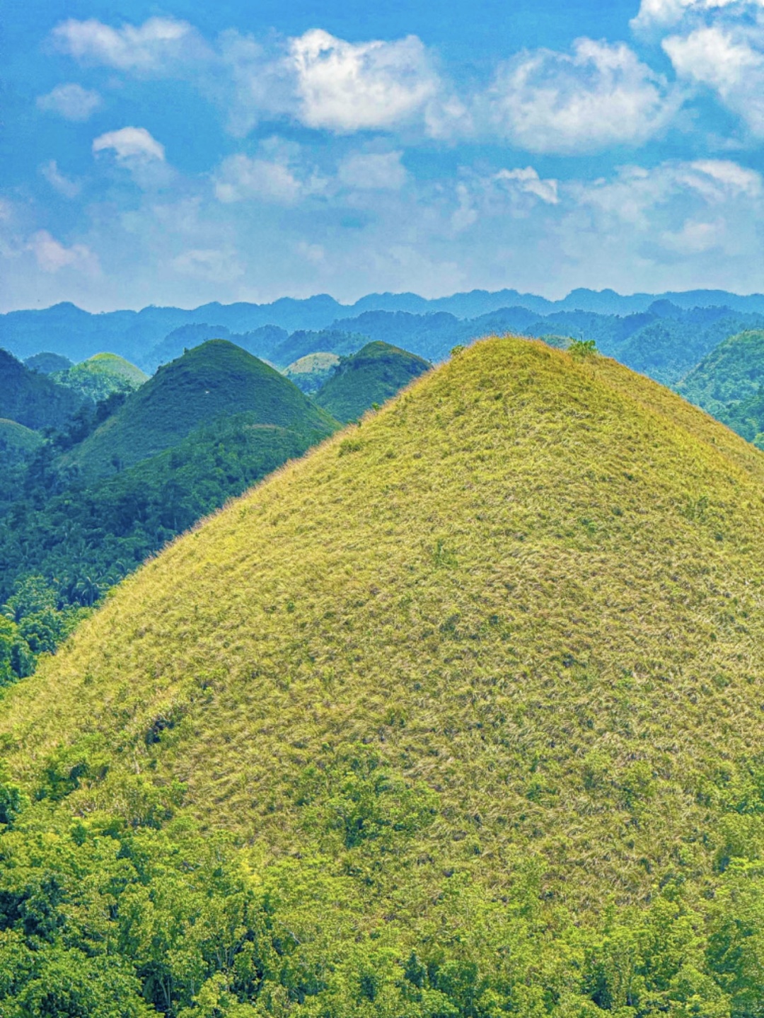 Cebu-Cebu and Bohol in the Philippines, the natural scenery for snorkeling is very beautiful