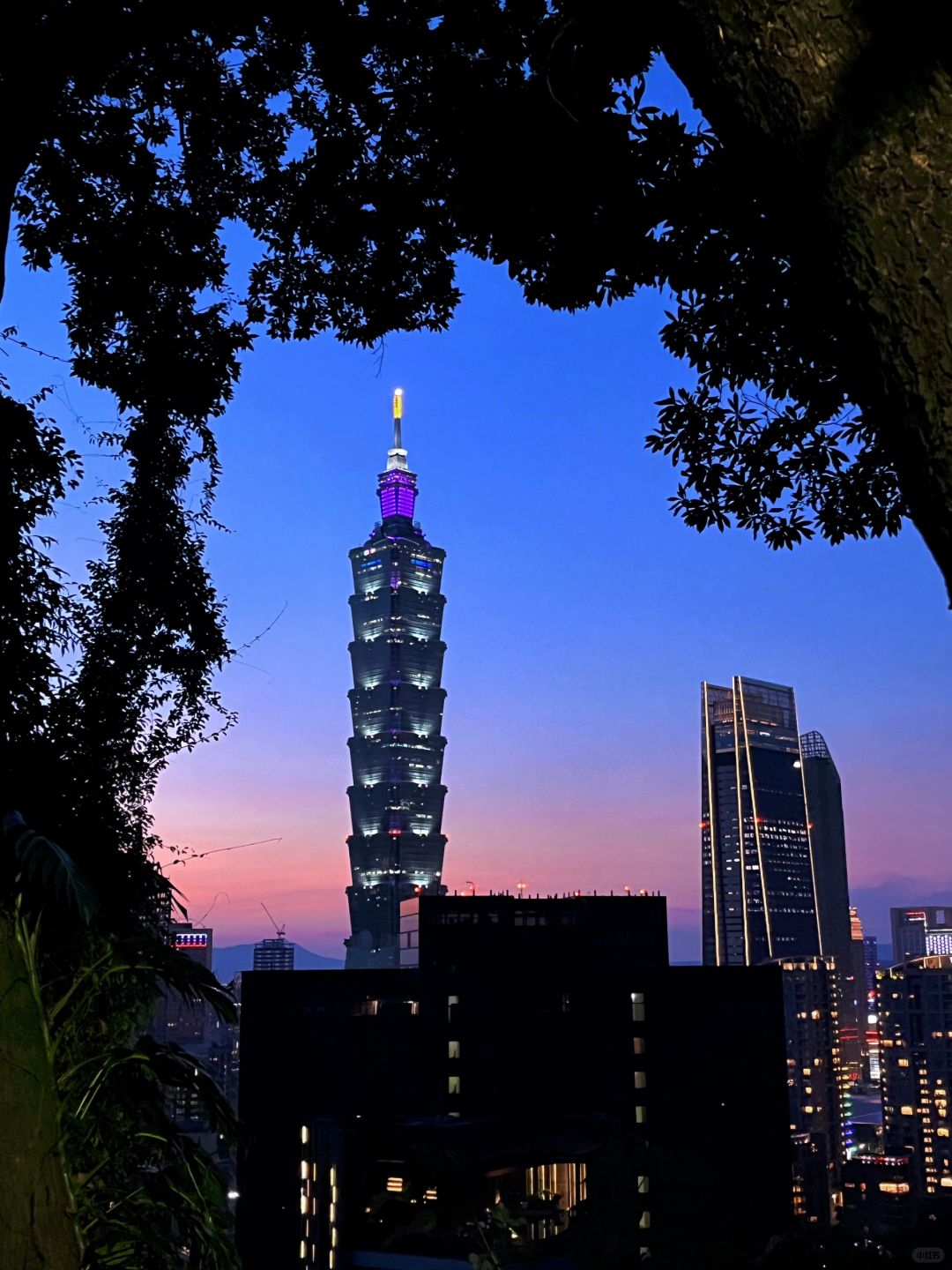 Taiwan-Taiwan City Hiking Tour, Visit Taipei International Financial Center (Taipei 101 Building)