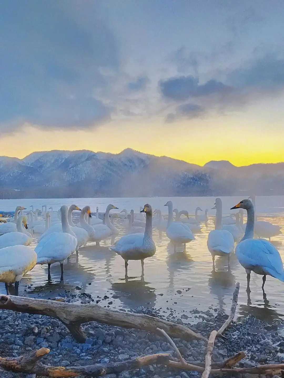 Sapporo/Hokkaido-Review of the top 6 open-air hot springs in Hokkaido, Japan, to experience the unique hot spring culture of Japan