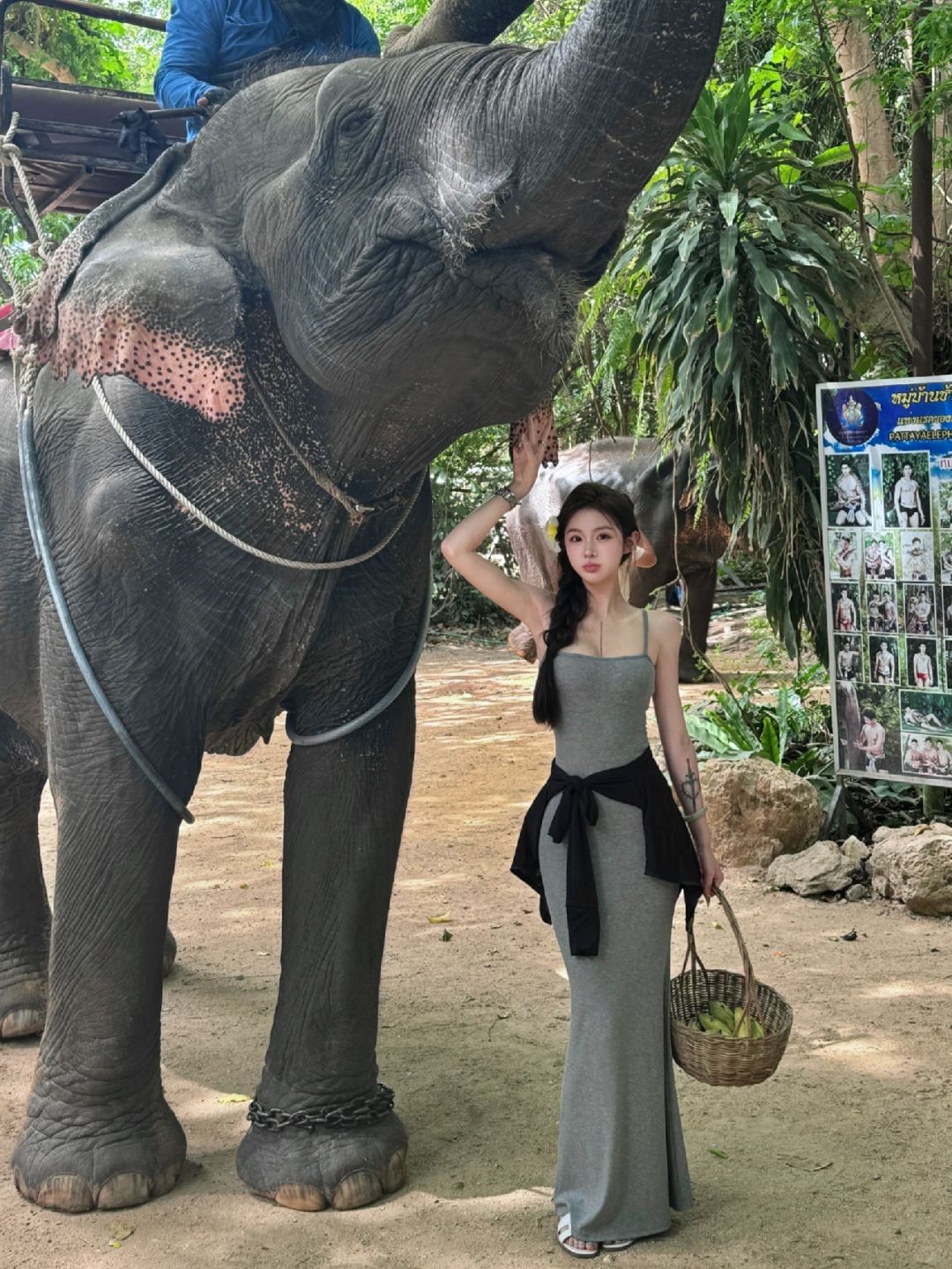 Pattaya-Attaya Diary Pattaya Elephant Village trip, I really like the feeling of being close to nature