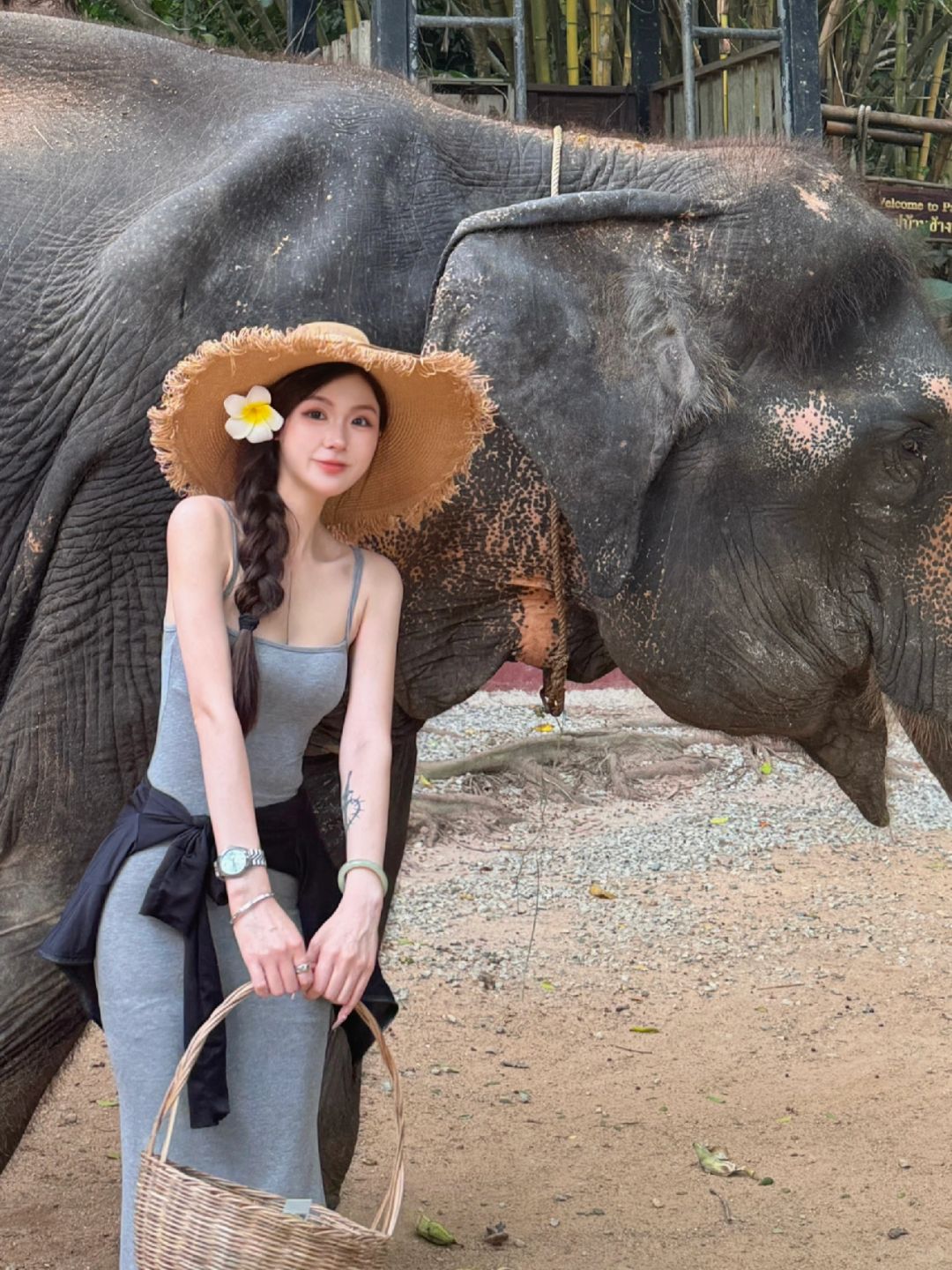 Pattaya-Attaya Diary Pattaya Elephant Village trip, I really like the feeling of being close to nature