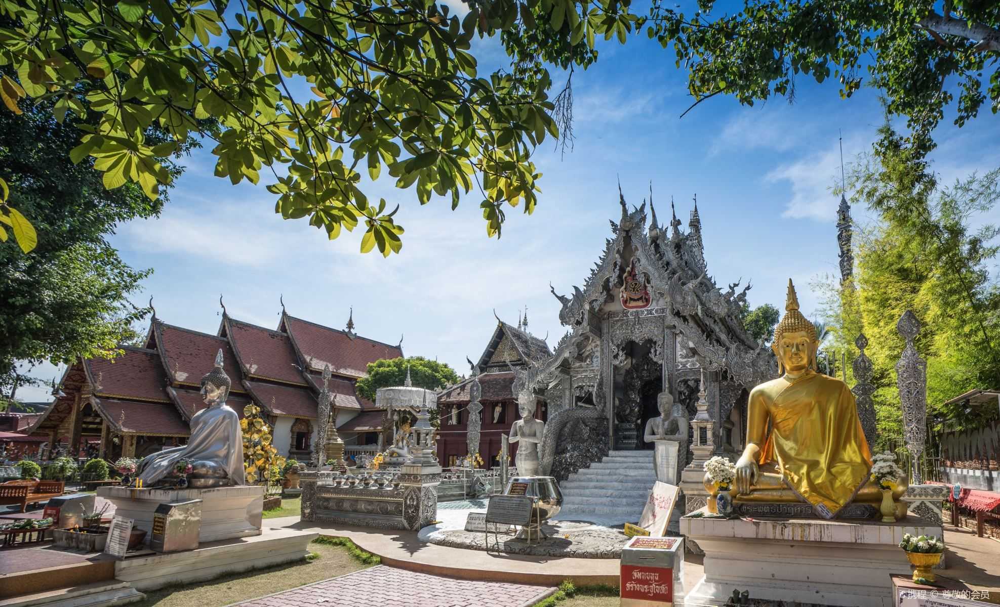 Chiang Mai-From temples to night markets, how to experience Chiang Mai's vibrant August scene