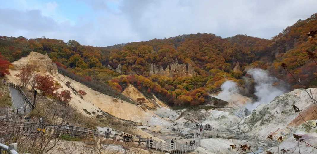 Sapporo/Hokkaido-Seven-day trip to Hokkaido, including international driving license and car rental guide