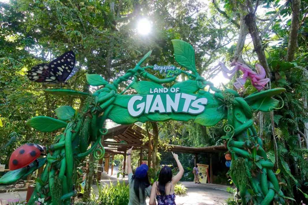 Singapore-2024 Singapore Zoo Day and Night Tour | Ticket Prices, Transportation, Attractions, Official Website, Breakfast