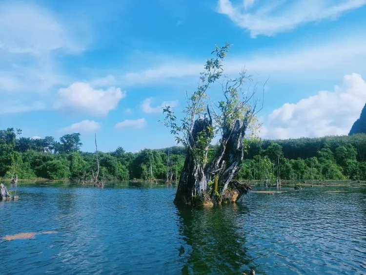 Krabi-Travel to Mirror Lake in Krabi Island, a beautiful secret place that you will never expect