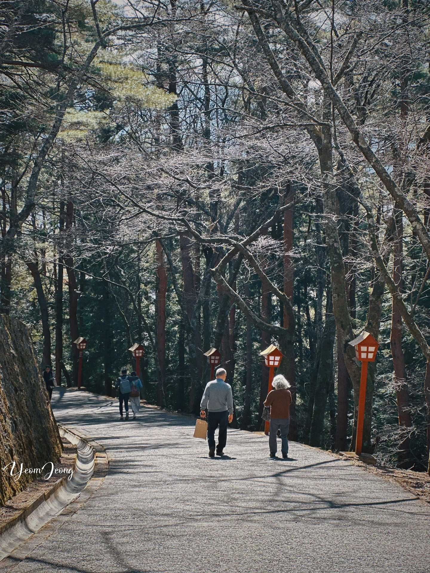 Tokyo-A one-day trip to Mount Fuji in Tokyo, Japan: avoid clouds and get up as early as possible