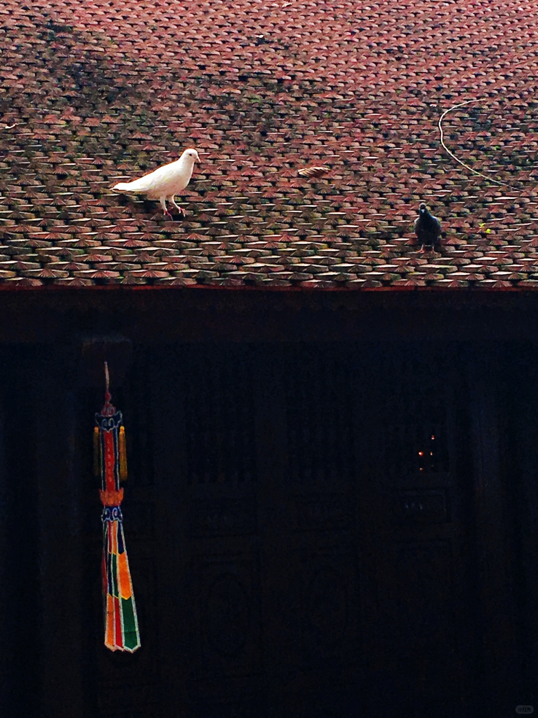 Hanoi-Tran Quoc Pagoda in Hanoi, Vietnam. Chinese characters are everywhere, as if we are in China?