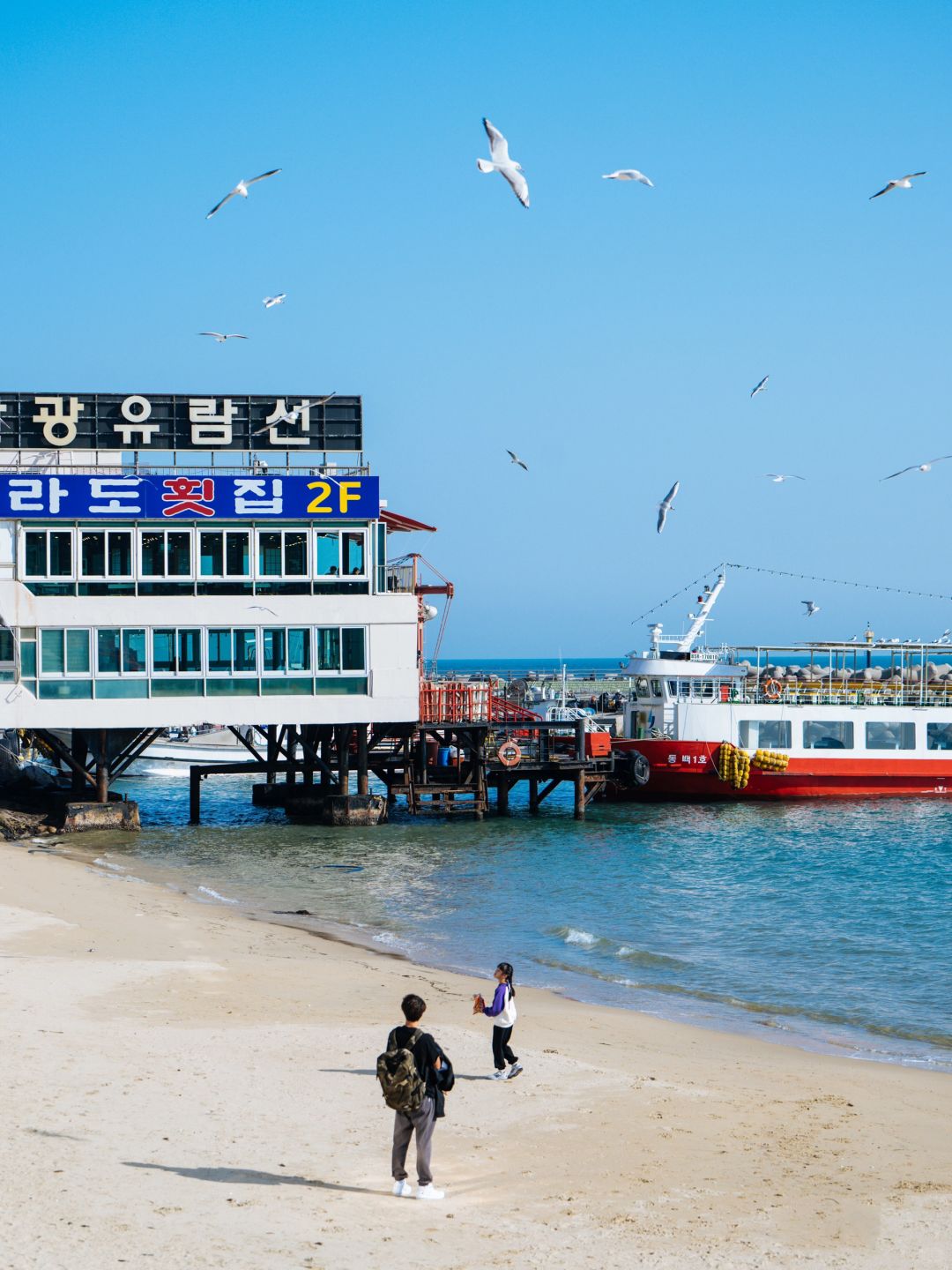 Busan/Jeju-When traveling to South Korea, spend 2 days in Busan. I guarantee you won’t regret it