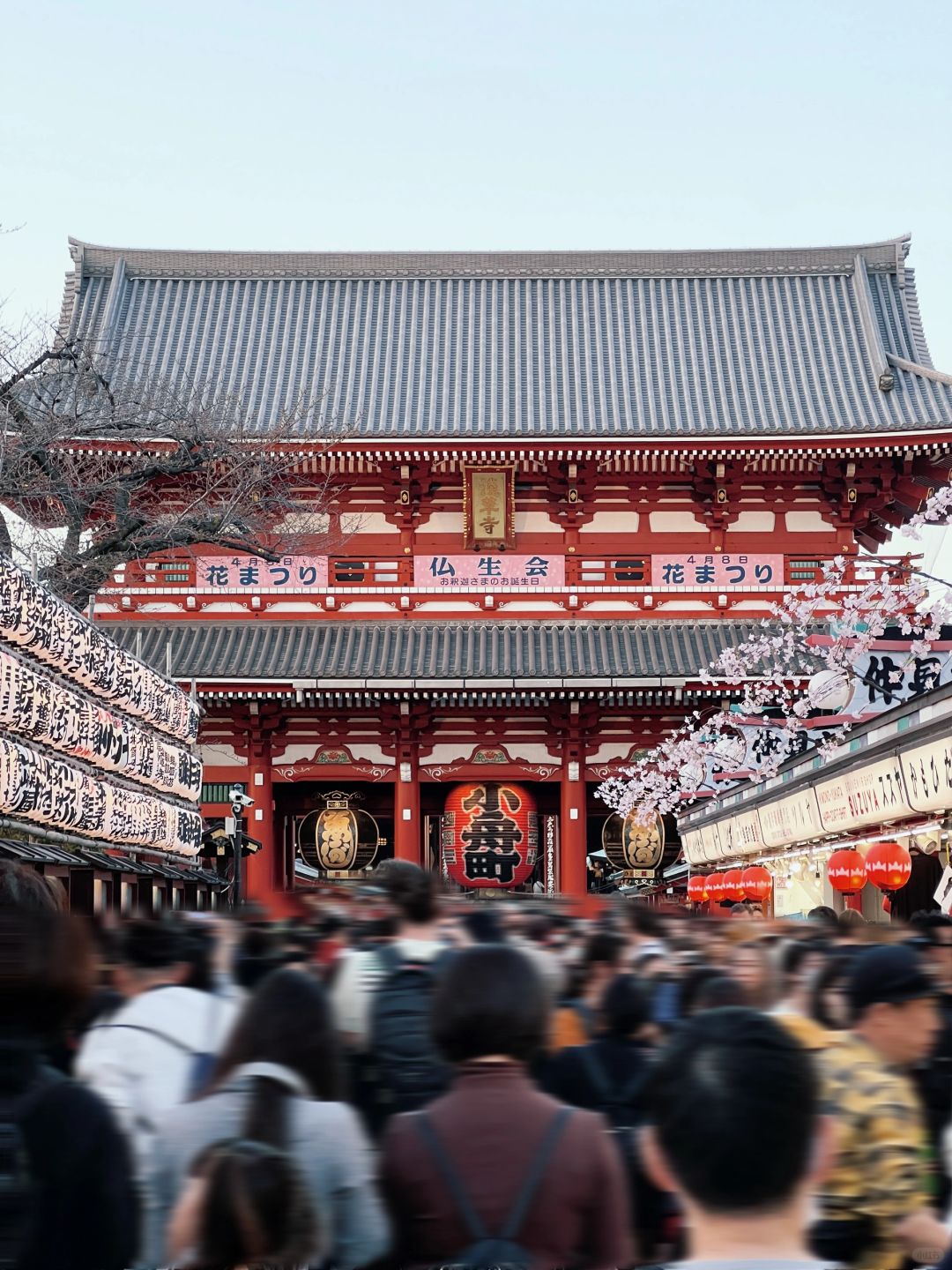 Tokyo-5-day travel guide to Tokyo, Japan, featuring delicious, fun, and shopping experiences