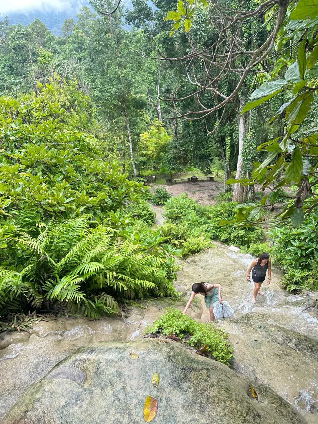 Chiang Mai-A day of playing in the water at the Sticky Waterfall in Chiang Mai, the road was very slippery