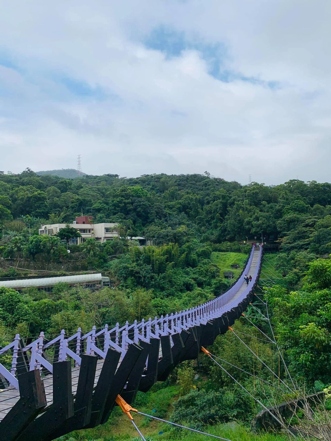 Taiwan-The Baishihu Suspension Bridge in Neihu, Taipei, looks like a flying dragon crossing the valley