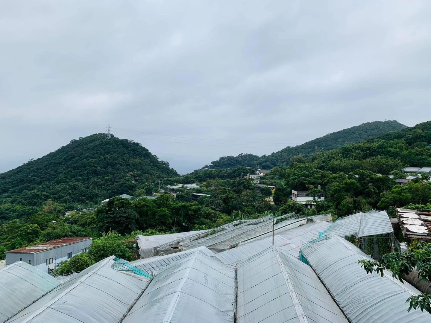 Taiwan-The Baishihu Suspension Bridge in Neihu, Taipei, looks like a flying dragon crossing the valley