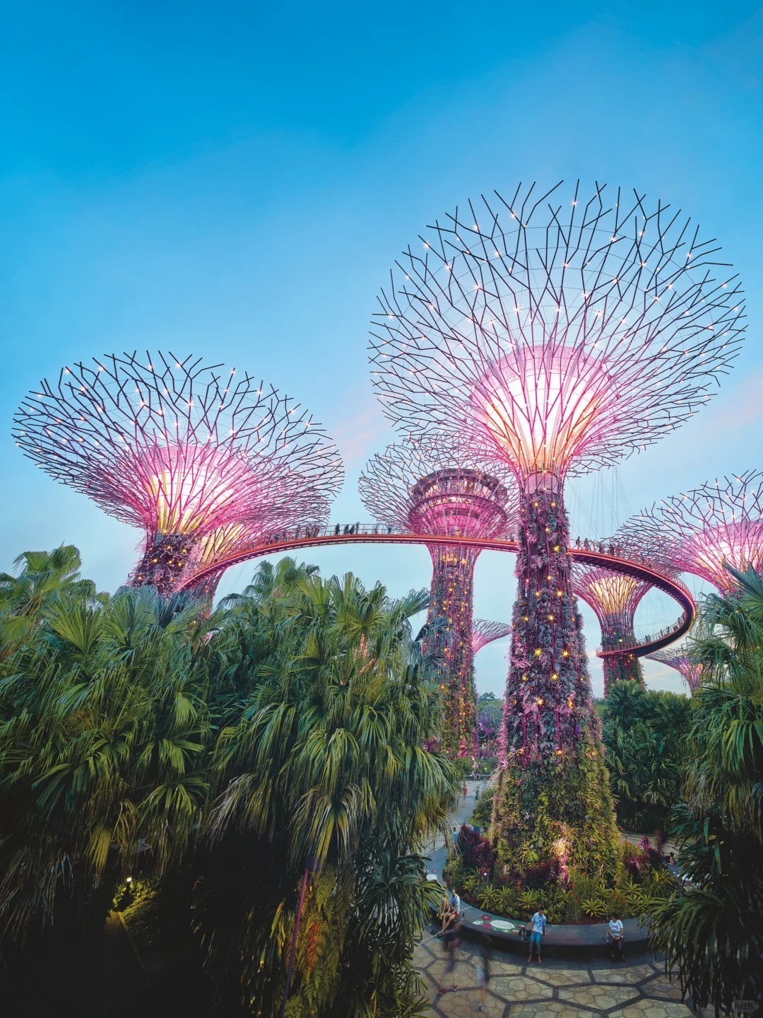 Singapore-4 travel experiences in Singapore, summarizing the most practical experience sharing