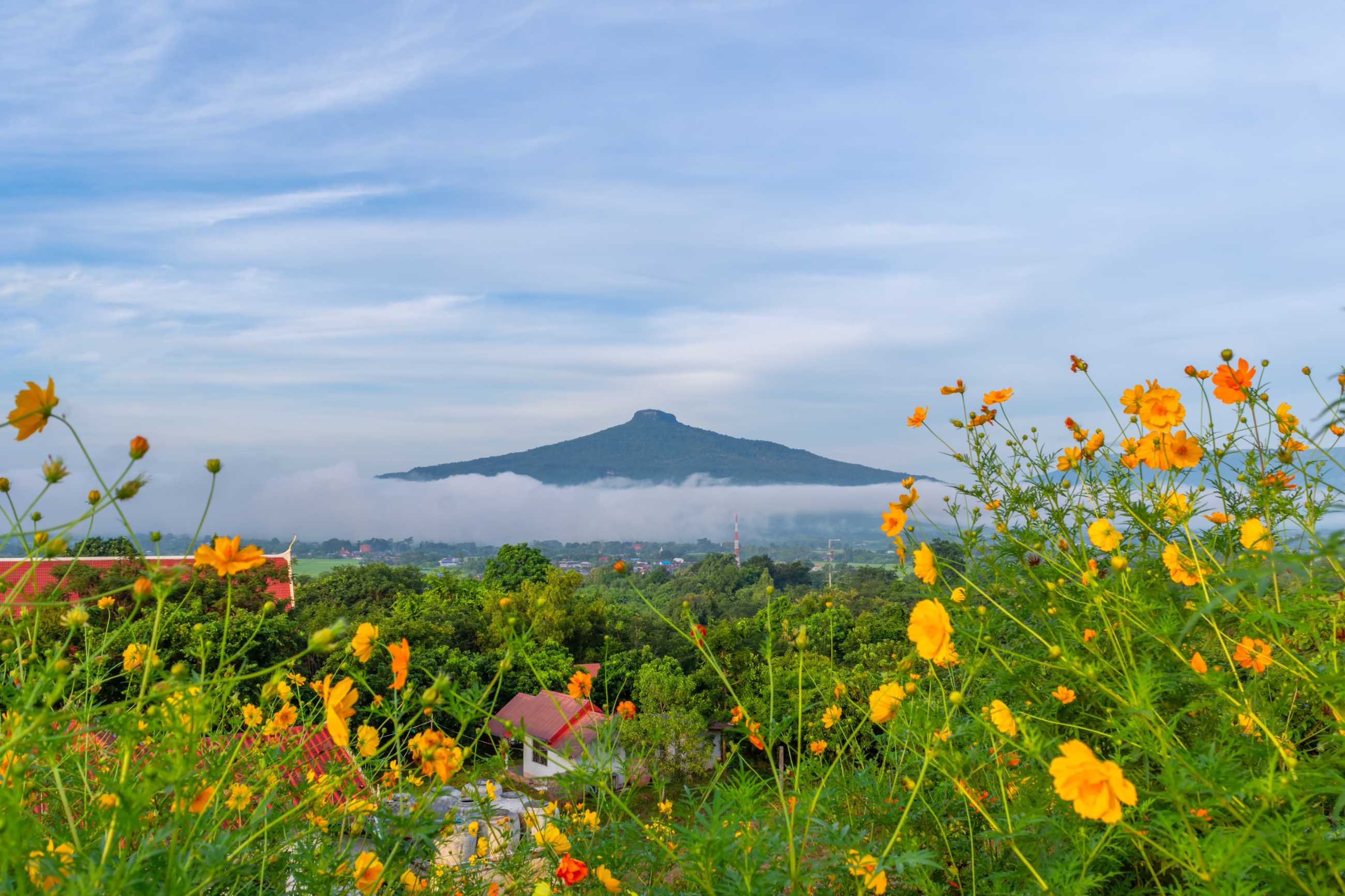 Bangkok-Phu Luang, a tourist destination in Loei Province, Thailand, enjoy the sea of ​​fog floating above the mountain