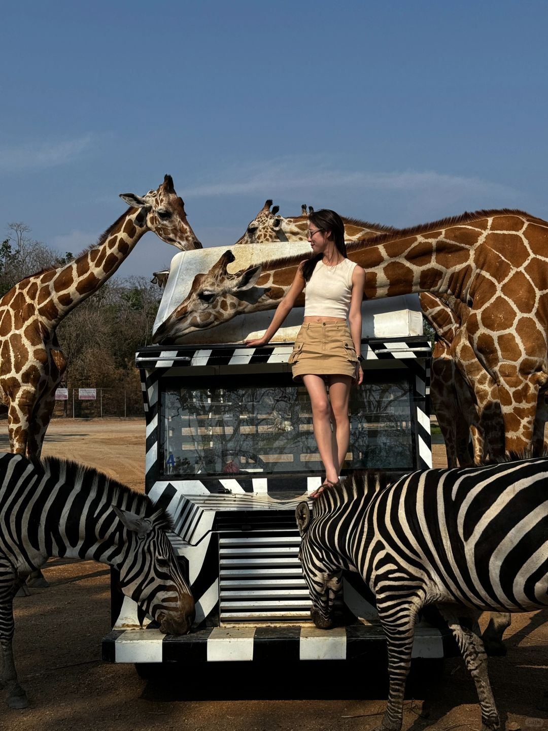 Bangkok-Bangkok Safari Park, 🦒take photos with zebras and giraffes, a paradise for children