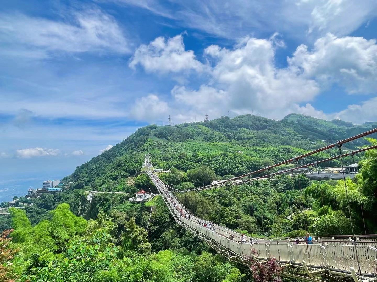 Taiwan-Enjoy the tea garden in Chiayi, Taiwan, and take a skywalk overlooking the Taiwan Strait