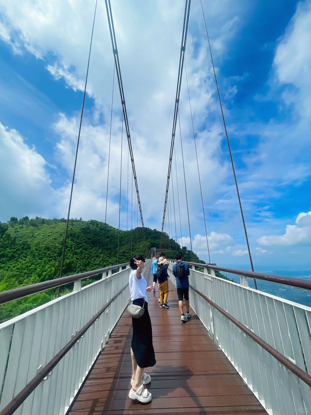 Taiwan-Enjoy the tea garden in Chiayi, Taiwan, and take a skywalk overlooking the Taiwan Strait