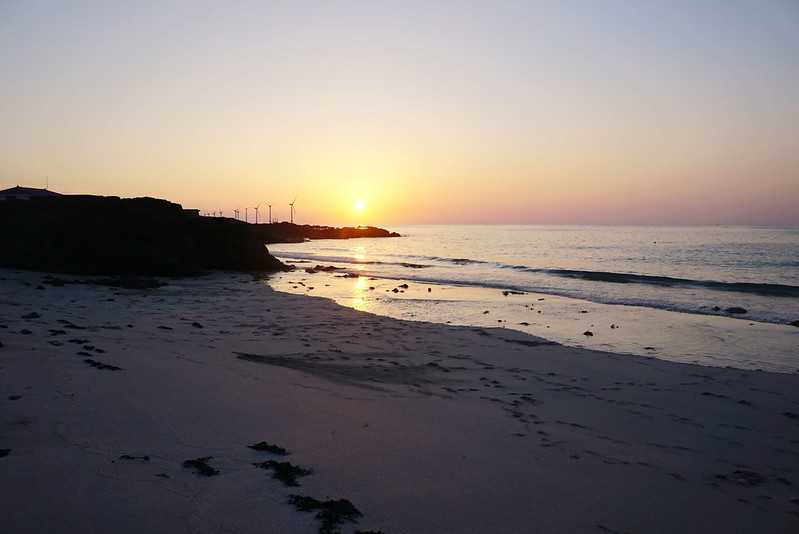 Busan/Jeju-Watching the sunset at the cactus community in Wolryeong-ri, Jeju Island, South Korea