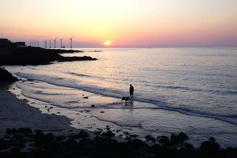 Busan/Jeju-Watching the sunset at the cactus community in Wolryeong-ri, Jeju Island, South Korea