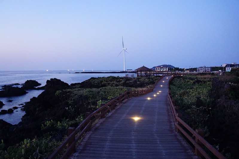 Busan/Jeju-Watching the sunset at the cactus community in Wolryeong-ri, Jeju Island, South Korea