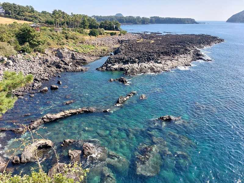 Busan/Jeju-Honeymoon House, a coffee shop in Seogwipo, Jeju Island, where you can enjoy the sea and coffee