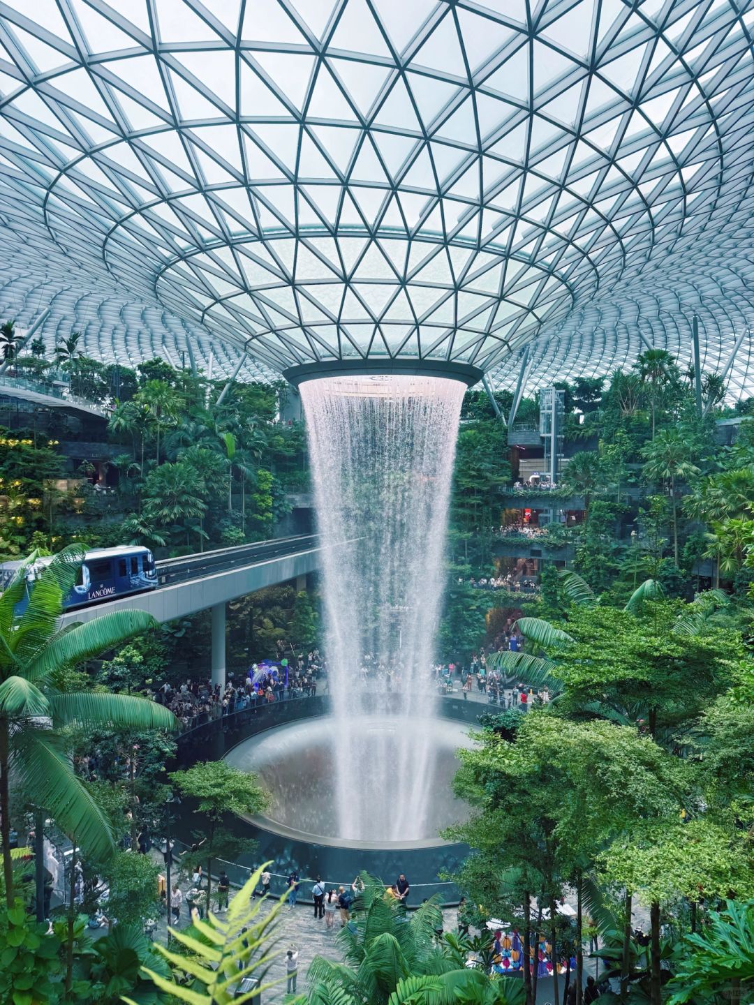 Singapore-Singapore Changi Airport rooftop waterfall, the real-life version of Zootopia