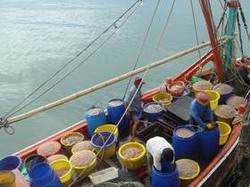 Hua Hin-Hua Hin Fishing Pier in Thailand is a favorite of tourists and fishermen