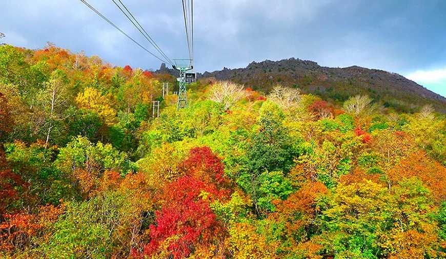 Sapporo/Hokkaido-Hokkaido Autumn Travel: Unlock the Blue Pond in Biei, the Fall Foliage at Jozankei, and the Toyako Hot Spring