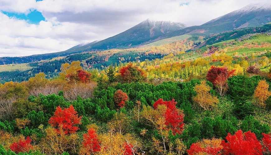 Sapporo/Hokkaido-Hokkaido Autumn Travel: Unlock the Blue Pond in Biei, the Fall Foliage at Jozankei, and the Toyako Hot Spring