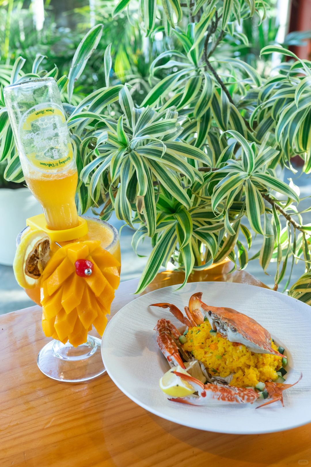 Boracay-MIST, popular restaurant in Bohol, has a long queue and is surrounded by forest greenery