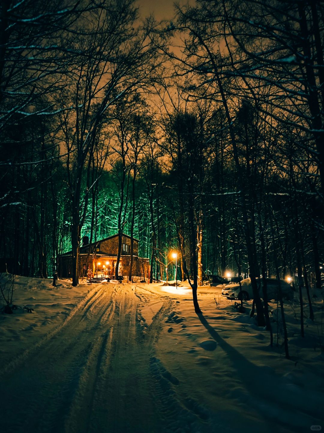 Sapporo/Hokkaido-Hokkaido Forest Fairy Terrace, it really looks like a fairy tale world when it snows