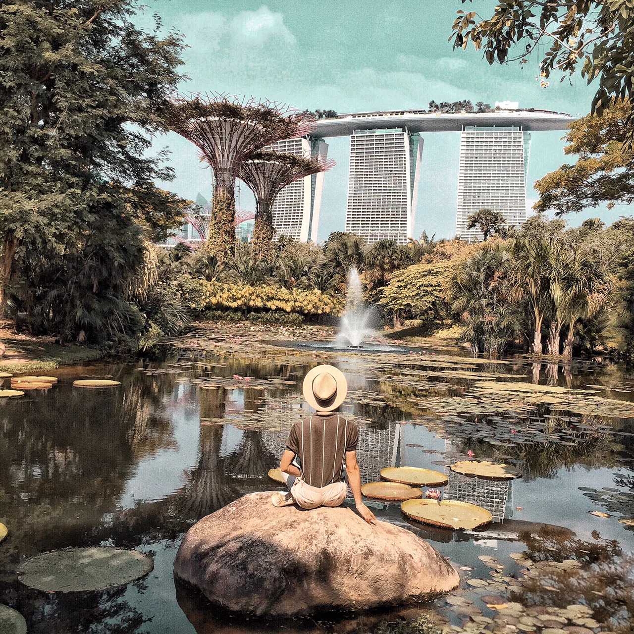 Singapore-Visit Gardens👑 by the Bay in Singapore and learn where to take great photos