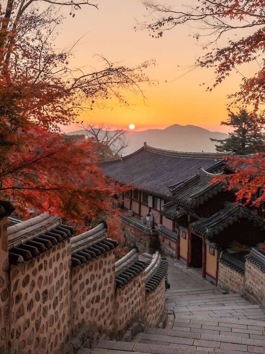 Busan/Jeju-South Korea Busan Beomeosa Temple, autumn maple leaves are like nature's palette