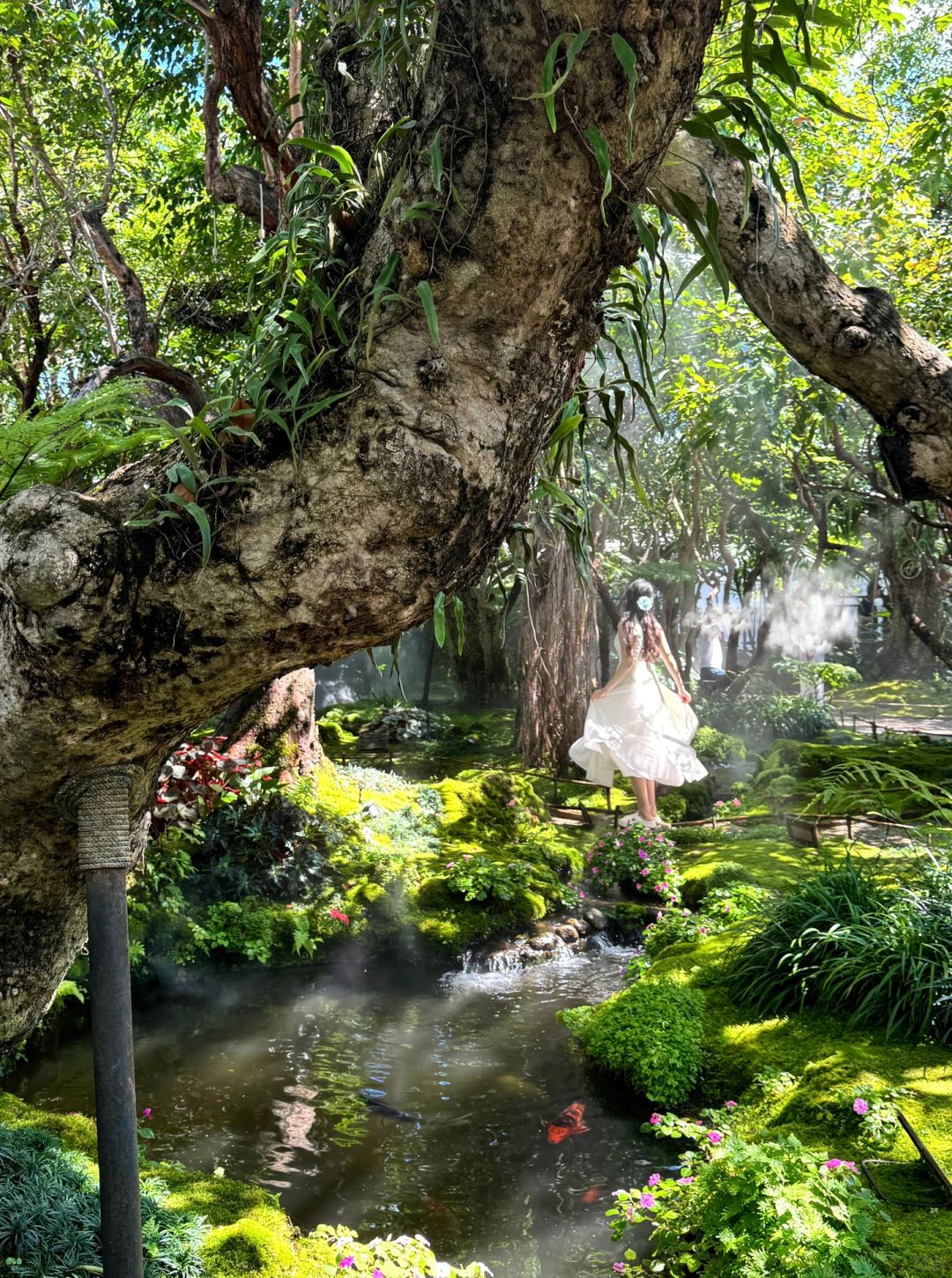 Chiang Mai-Chom Cafe and Restaurant, 🧚🏻‍♀️Alice in Wonderland, Chiang Mai, jungle garden style