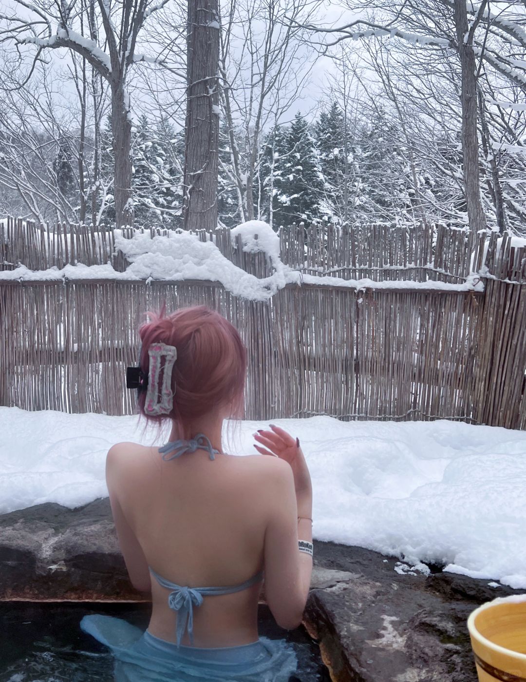 Sapporo/Hokkaido-Hokkaido Hot Spring Hotel, ♨️Silver Wedding Bath has an entire private forest