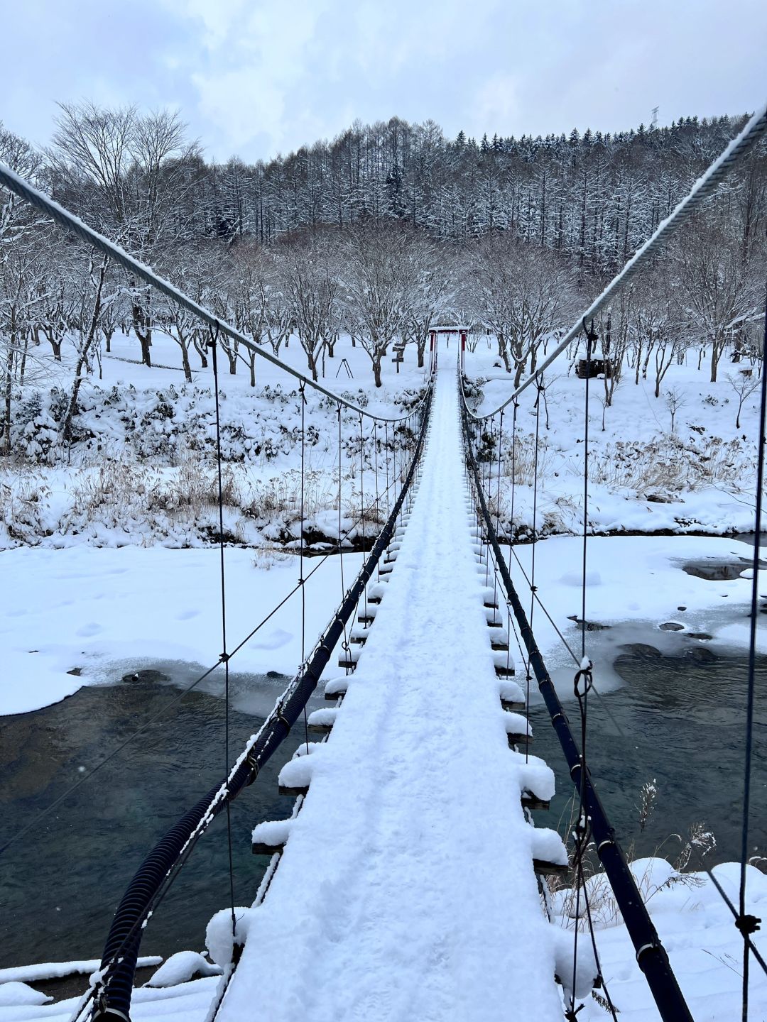 Sapporo/Hokkaido-Hokkaido Hot Spring Hotel, ♨️Silver Wedding Bath has an entire private forest