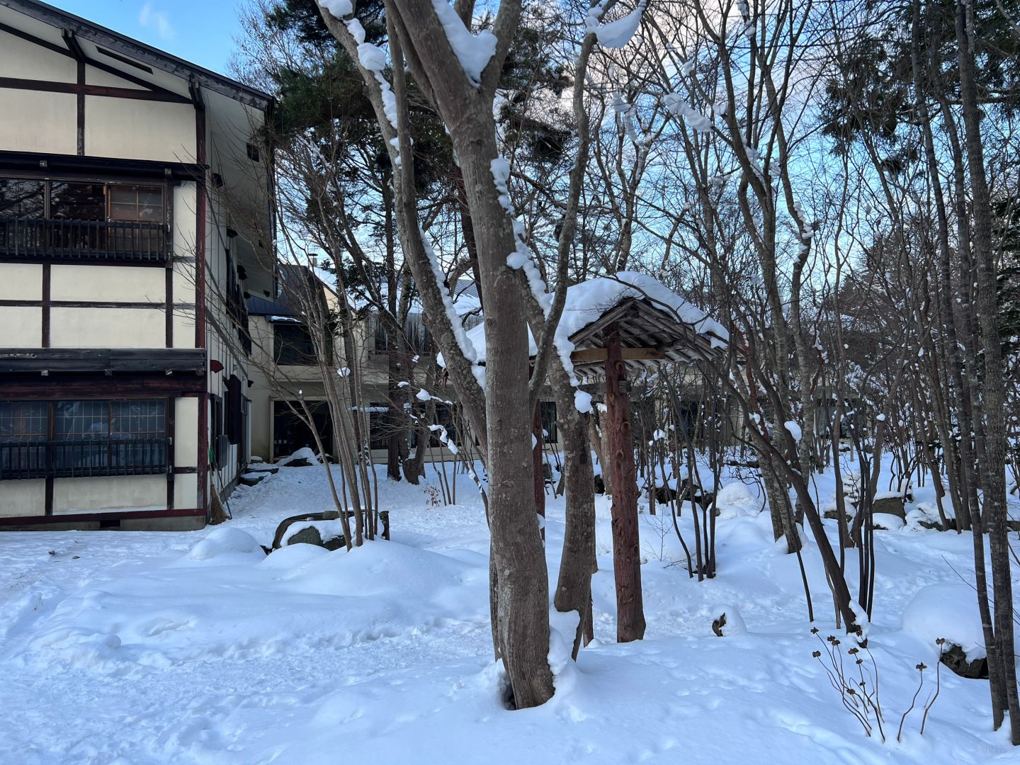 Sapporo/Hokkaido-Hokkaido Hot Spring Hotel, ♨️Silver Wedding Bath has an entire private forest