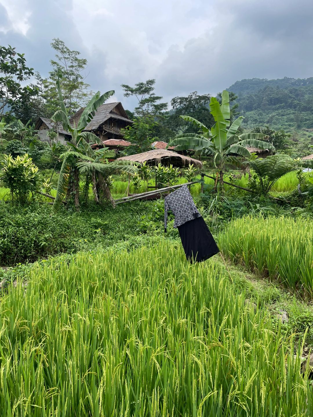 Jakarta-Hiking at Sentul Rice Field Waterfall in Jakarta, with traditional costumes hanging on bamboo poles