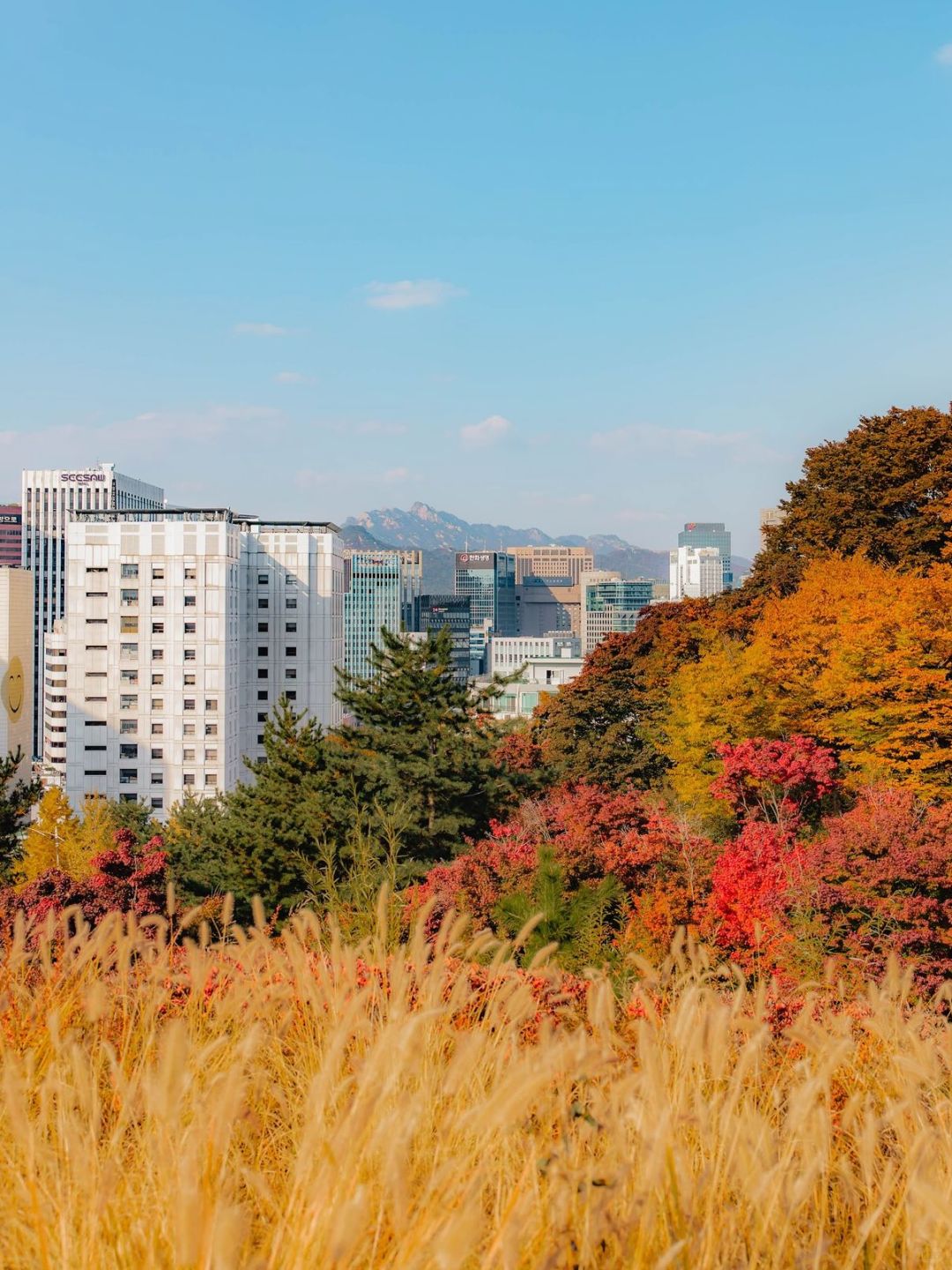 Seoul-Seoul Namsan Park Baekbeom Square, 🦙enjoy the most beautiful autumn in Korea