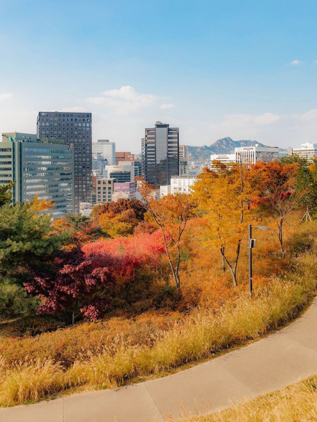 Seoul-Seoul Namsan Park Baekbeom Square, 🦙enjoy the most beautiful autumn in Korea